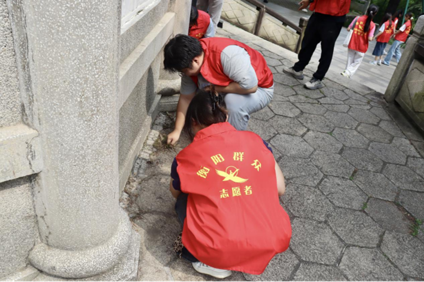 图片 图片